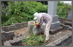お墓の除草（お墓草取り・石碑ゴミ取り）