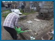 隅々まで除草剤を散布