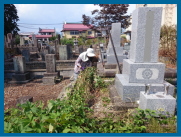 生い茂った雑草類の除去
