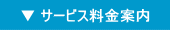 サービス料金案内