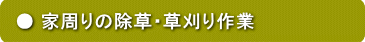 家周りの草刈り、除草作業