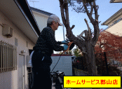 枝切り作業の写真