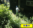 庭の除草