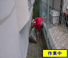 家周りの除草