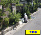家周り、門前の除草作業