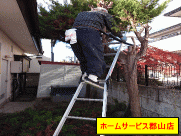 庭木伐採、枝切り
