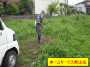 空地の草刈り