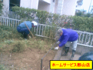 庭の草取り作業
