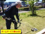 芝生の手入れ