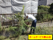 フェンスにからまった雑草のツル除去