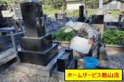 QsT[rX̍Ǝʐ^