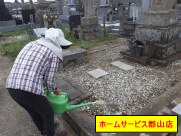 除草剤散布の写真