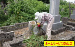 お墓の除草（お墓草取り・石碑ゴミ取り）