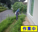 庭の草刈り
