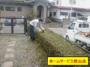 植え込みの剪定
