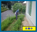 庭の草刈り